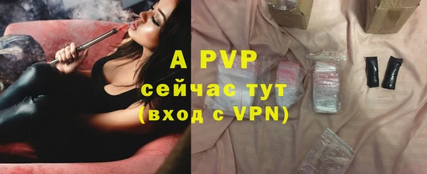 мет Пересвет