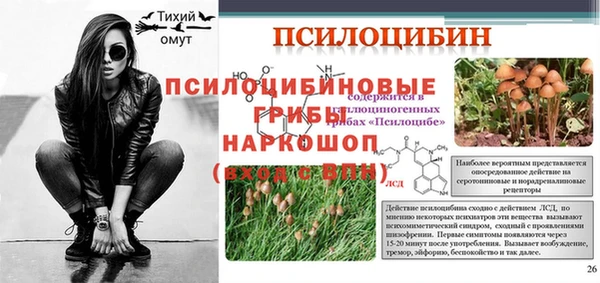 герыч Пестово