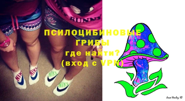 герыч Пестово