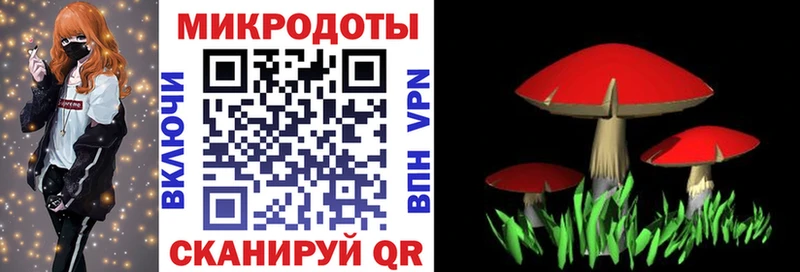 Псилоцибиновые грибы Cubensis  продажа наркотиков  Сегежа 