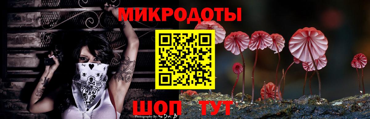 Галлюциногенные грибы GOLDEN TEACHER Сегежа